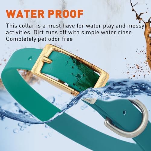 Viper Biothane Heavy Duty Waterproof Dog Collar Strong Coated Nylon Webbing w/Solid Brass Hardware Odor-Proof Easy to Clean High Performance Fits Small Medium or Large Dogs, Blue Aqua