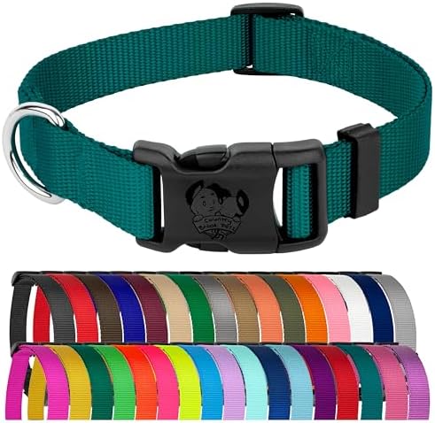 Country Brook Petz - Everyday Nylon Dog Collar for Large, Medium, and Small Dogs and Puppies - for Everyday Use in 30+ Colors (2XS, 3/8 Inch Wide, Teal)