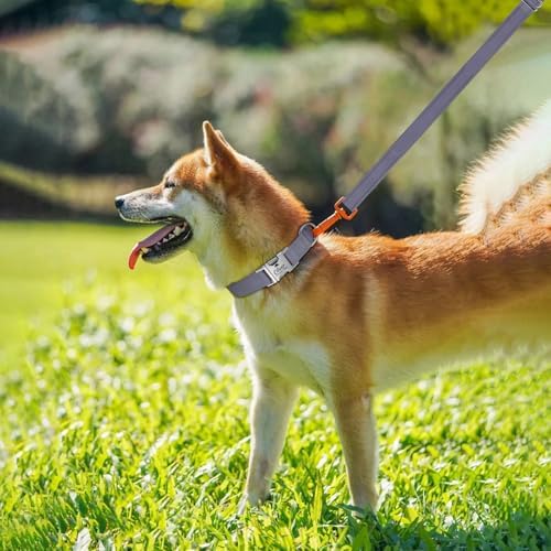 Silent Dog Collar Personalized with Name Phone Number Laser Engraved