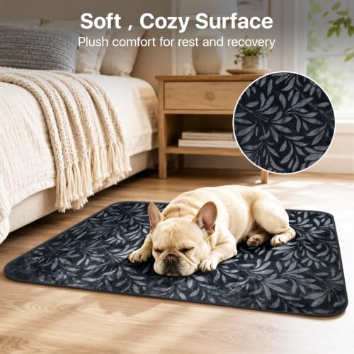 LOOBANI 2 Packs Washable Pee Pads for Hallway Runner, 36"x72", Dark Gray