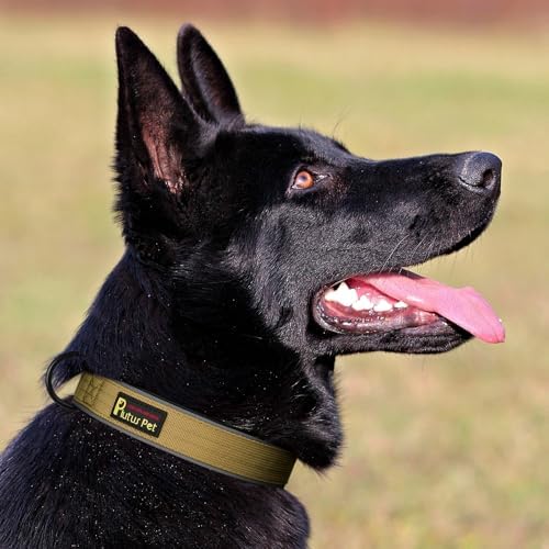 Plutus Pet Tactical Dog Collar, Reflective, for Small Medium Large Dogs