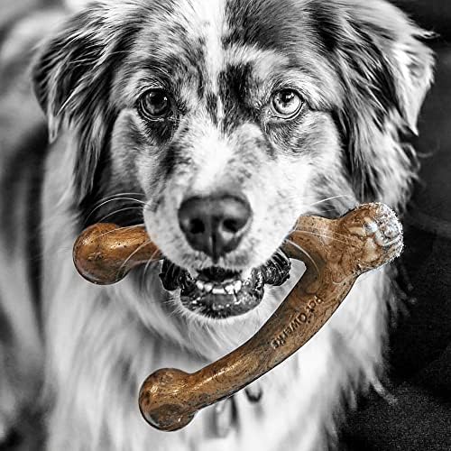 Pet Qwerks Wishbone BarkBone - Nylon Chew Toy for Aggressive Chewers - Bacon Flavor - 6.75" (Pack of 3)