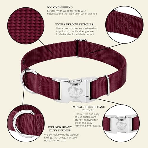 Country Brook Petz - Premium Nylon Dog Collar with Metal Buckle for Small Medium Large Breeds - 30+ Colors (Medium, 3/4 Inch, Burgundy)