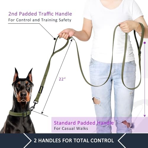 Plutus Pet Double Handle Dog Leash, 6 FT Long, for Medium Large Dogs