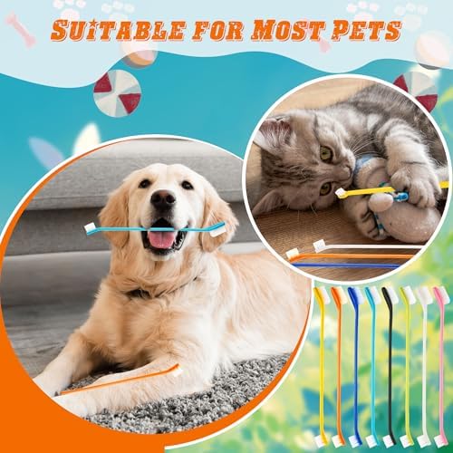 160 Pcs Dog Toothbrush Dual Head Dental Brushes Bulk Pet Tooth Brushing Kit Puppy Long Handle Toothbrush for Large and Small Dogs Cats Most Pets Teeth Cleaning Oral Care Supplies, 8 Colors