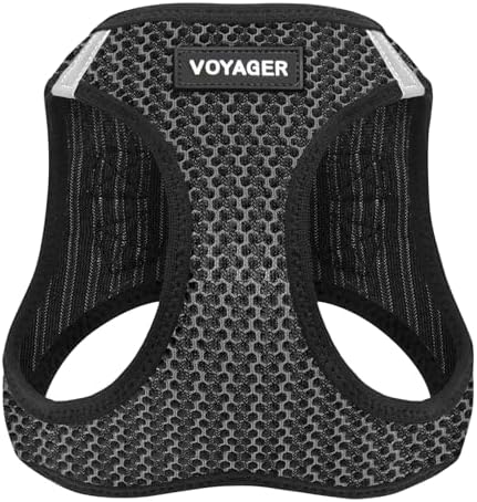 Best Pet Supplies Voyager Step-in Air Harness - All Weather Mesh, Reflective, No Pull Harness for Dogs, Cats - Secure with Hook & Loop Fastener, Buckle, Double D-Rings - Gray 2-Tone, L
