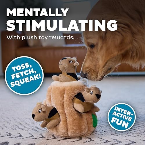 Outward Hound Hide-A-Squirrel Plush Squeaky Dog Toy, Large, 10.5" x 7.5"