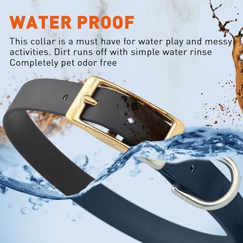 Viper Biothane Heavy Duty Waterproof Dog Collar Strong Coated Nylon Webbing w/Solid Brass Hardware Odor-Proof Easy to Clean High Performance Fits Small Medium or Large Dogs, Black