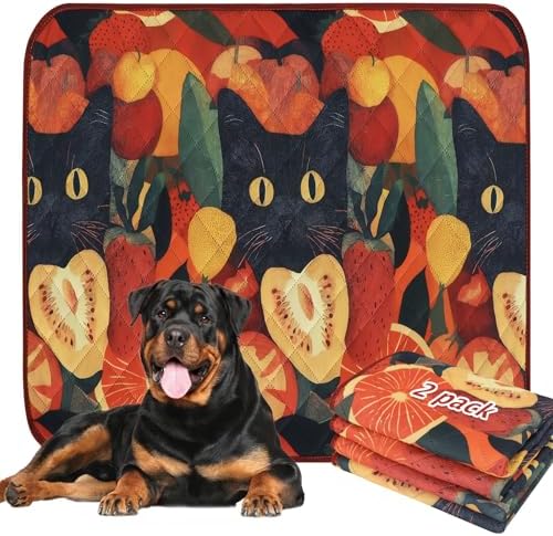 BVAGSS Washable Pee Pads for Dogs, 2 Pack Reusable Leakproof Puppy Wee Wee Pad, Non-Slip Waterproof Pet Training, Super Absorbent Whelping XH081 (Cat, 48X30 Inch)