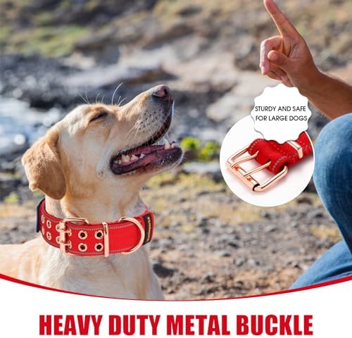 Heavy Duty Dog Collar for Medium Large Dogs,Red,Large