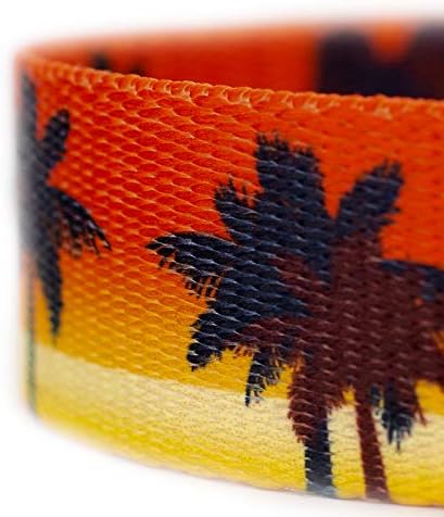 Country Brook Petz - Caribbean Sunset Everyday Dog Leash - Summer Breeze Collection Featuring Sunny Designs (6 Foot, 1/2 Inch Wide)