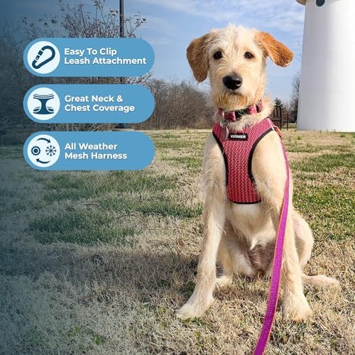 Voyager Step-in Air Dog Vest Harness - Fuchsia 2-Tone, Large