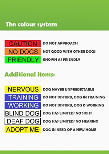 Adopt ME Yellow Color Coded 2 4 6 Foot Padded Dog Leash (New Home Needed) Donate to Your Local Charity (4 Foot Leash)