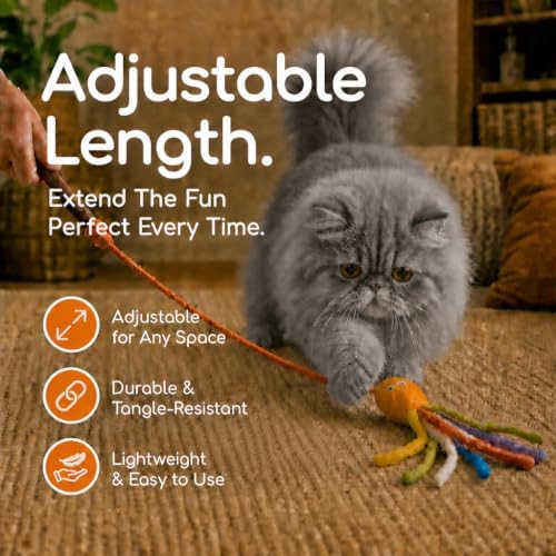 Wool Cat Toy - Felted Wool Rainbow Squid Fish Wand Toy Plus 2 Felt Ball Toys for Indoor Cats and Kittens (Cat Squid Toy)