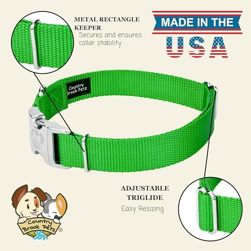 Country Brook Petz - Premium Nylon Dog Collar with Metal Buckle for Small Medium Large Breeds - 30+ Colors (Medium, 3/4 Inch Wide, Hot Lime Green)