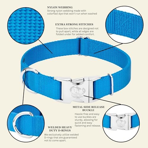 Country Brook Petz - Premium Nylon Dog Collar with Metal Buckle for Small Medium Large Breeds - 30+ Colors (Large, 1 Inch, Ice Blue)