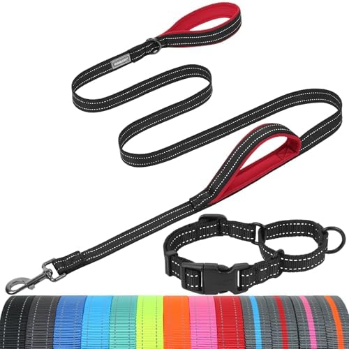 VIVAGLORY Double Handle Dog Leash Twingrip, 5ft x 1in, S, Black