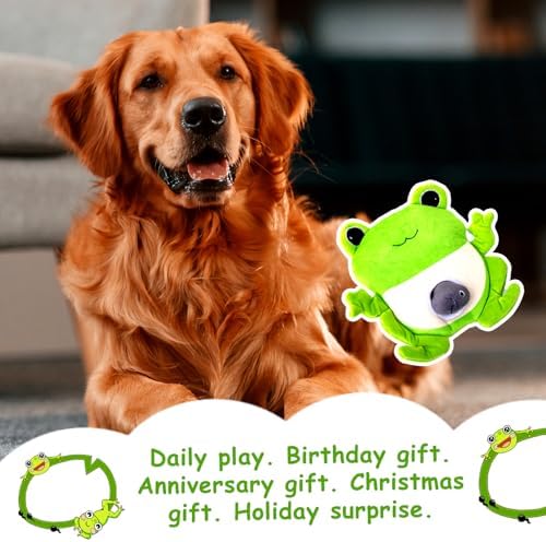 Hollypet Squeaky Hide and Seek Dog Toys for Small and Medium Dogs, Frog