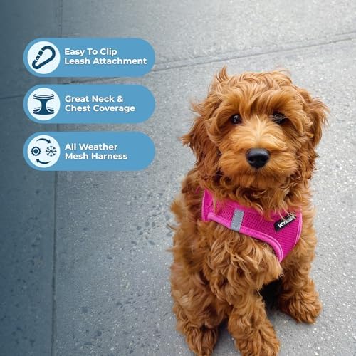 Best Pet Supplies Voyager Step-in Air All Weather Mesh Harness and Reflective Dog 5ft Leash Combo with Neoprene Handle, for Small, Medium and Large Breed Puppies - Fuchsia, Medium