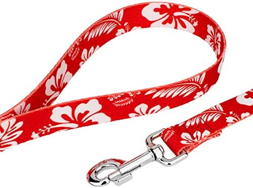 Country Brook Petz - Red Hawaiian Everyday Dog Leash - Summer Breeze Collection Featuring Sunny Designs (4 Foot, 5/8 Inch Wide)