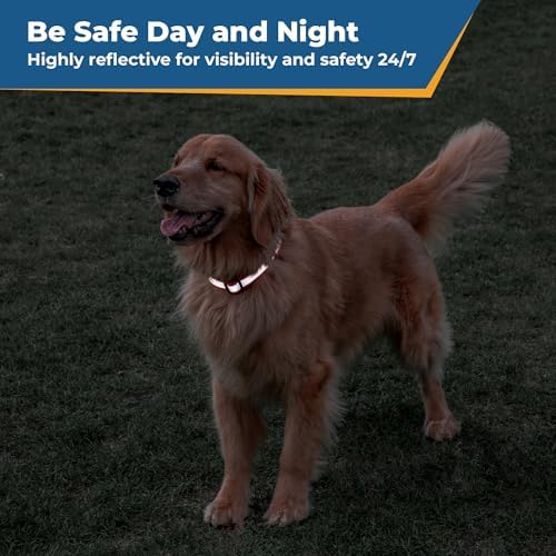 GoTags Reflective Personalized Dog Collar, Custom Embroidered Safety Collar