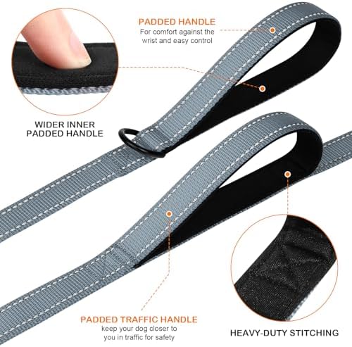 Joytale Dog Leash for Large Dogs that Pull, Double Handle, 4FT, Gray