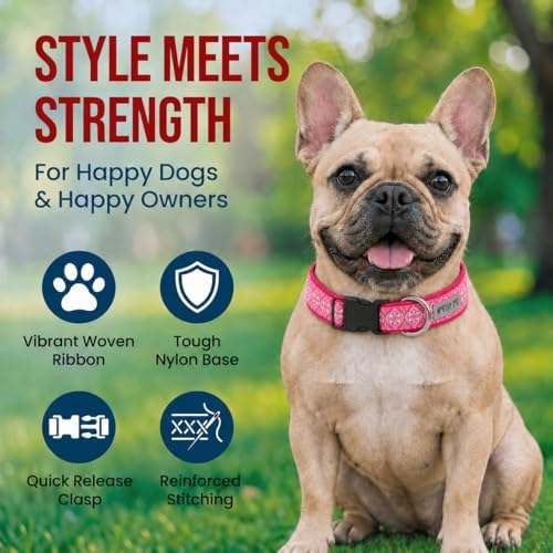THE WORTHY DOG Summer Print, Adjustable Dog Collar,Medium Dogs, Medallion