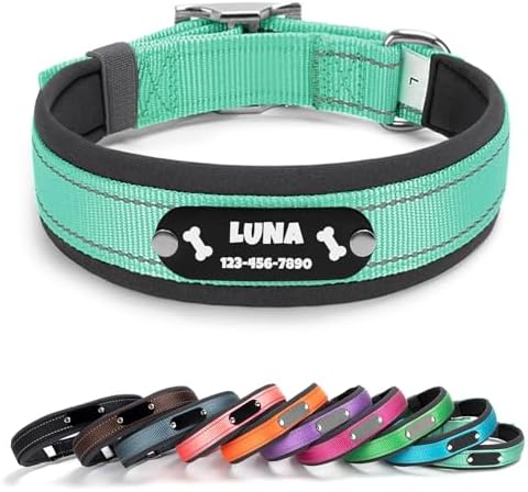 Personalized Reflective Dog Collar with Name, Turquoise: XL