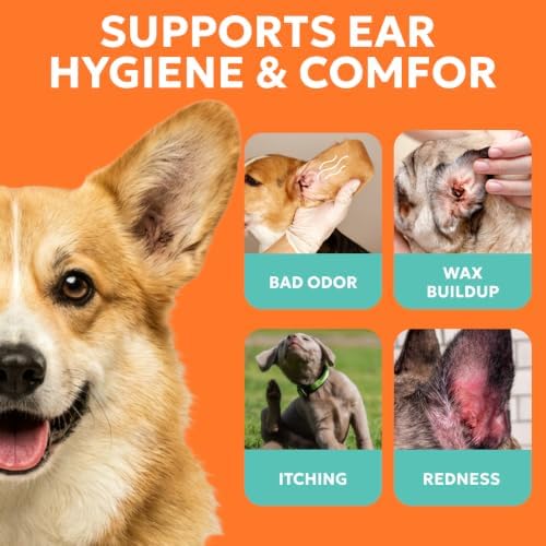 Forticept Dog Ear Wipes, Dog Ear Cleaner, Odor Control, Dirt and Wax Removal with Soothing Aloe Vera & Eucalyptus, Regular Wipes, 100 Count