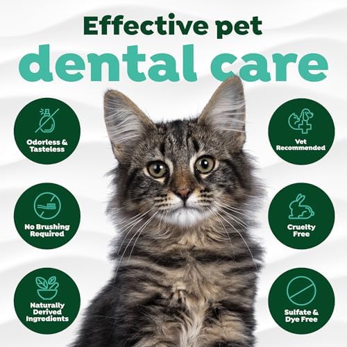 TropiClean Fresh Breath Drops for Cats, Cat Breath Freshener, 2.2oz