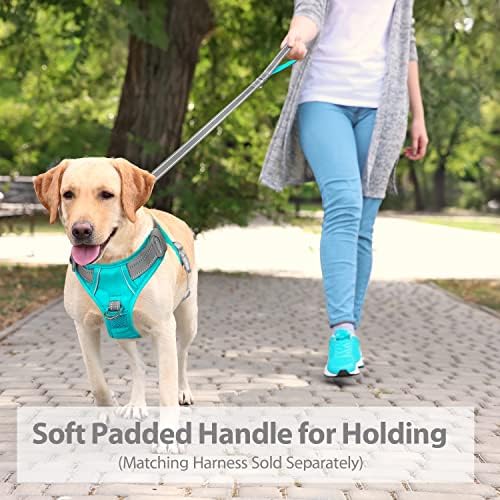 PHOEPET 5 Feet Dog Leash - Dual-Side Reflective - Soft Padded Handle