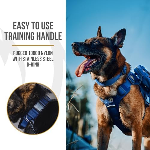 OneTigris Heavy Duty Dog Collar for Large Dogs with Traffic Handle Blue L