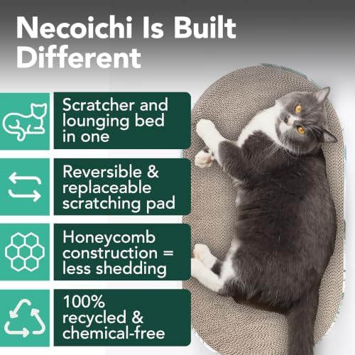 Necoichi Cat Scratcher Bowl Capsule Lounger Bed