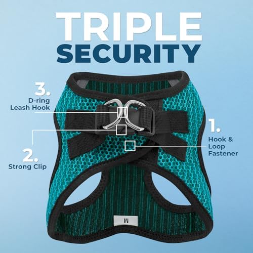Best Pet Supplies Voyager Step-in Air All Weather Mesh Harness and Reflective Dog 5ft Leash Combo with Neoprene Handle, for Small, Medium and Large Breed Puppies - Turquoise 2-Tone, Large