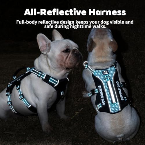 Huntboo Service Dog Vest Harness, Escape Proof Harness with 6 Patches, No-Pull, Reflective Harness with Handle, Adjustable for Small to Large Dogs, for Training and Hiking (Teal, XS)