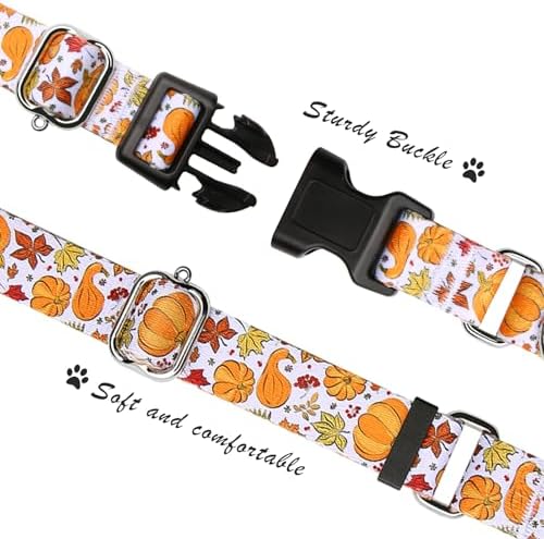 Hikiko Martingale Collar for Dogs with Halloween Pattern,Adjustable,M