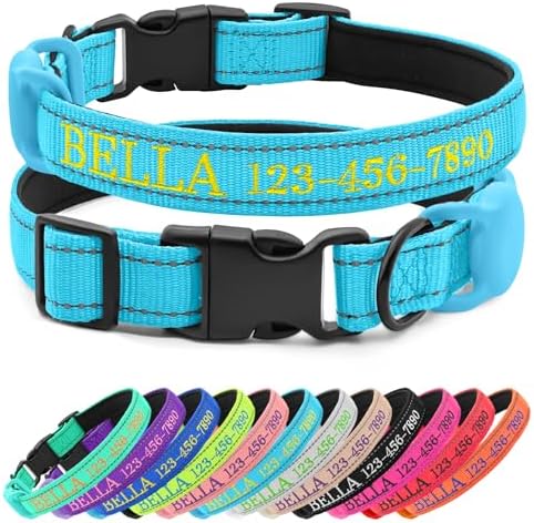 Personalized Nylon Dog Collar with Embroidered Name, Light Blue