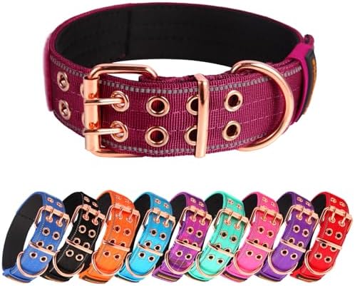 Heavy Duty Dog Collar for Medium Large Dogs,Wine Red,Large