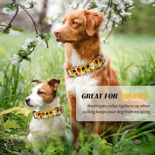 Hikiko Martingale Collar for Dogs with Halloween Pattern,Adjustable,L