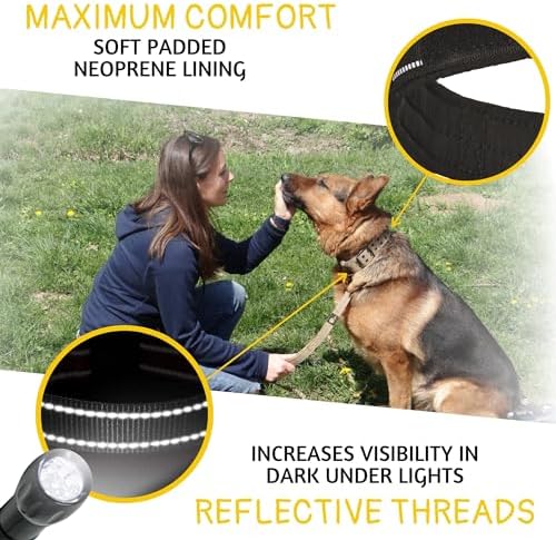 ADITYNA Heavy Duty Dog Collar for Extra-Large Dogs with Traffic Handle