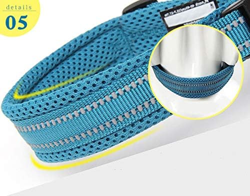 True Love Padded Reflective Breathable Nylon Dog Collar, Blue, L