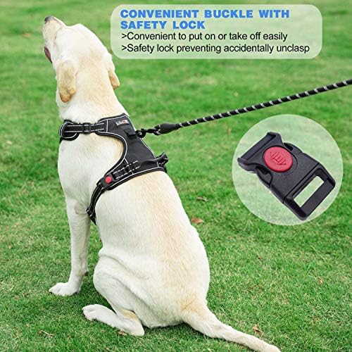 tobeDRI No Pull Dog Harness Adjustable Reflective Oxford Easy Control Medium Large Dog Harness with A Free Heavy Duty 5ft Dog Leash, Purple, XL