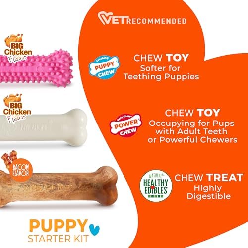 Nylabone New Puppy Starter Kit, Puppy Teething Toys, 3 Pack, Pink