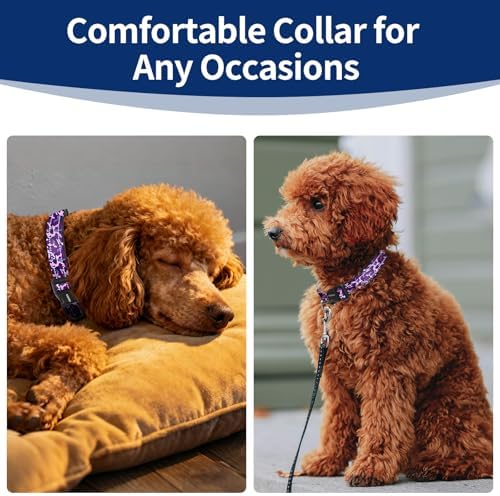 Kazazoo Small Dog Collar,Reflective Puppy Collar with Soft Padding Dog Collar No Pull,Lightweight, Nylon Collar for Puppies, Bichon Frisé, Papillon & Poodle Dogs 5-15 Lbs Purple camo-S