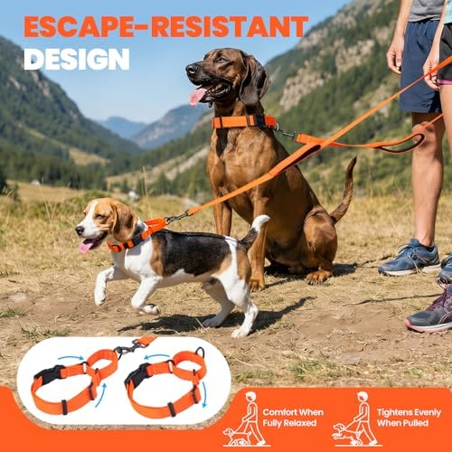 VIVAGLORY Double Handle Dog Leash Twingrip, 5ft x 1in, M2, Orange