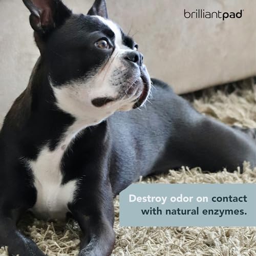 BrilliantPad TidyShot Pet Stain Remover & Odor Eliminator Spray (4 oz)