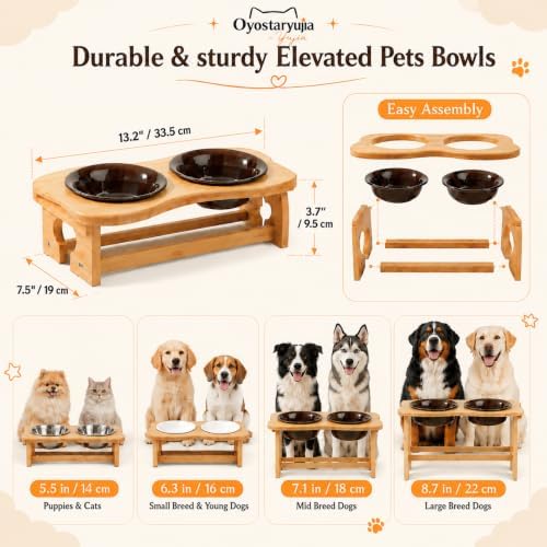 Bone Elevated 5.5" Ceramic Cat Puppy Bowls, Tilted Cat Bowl Stand