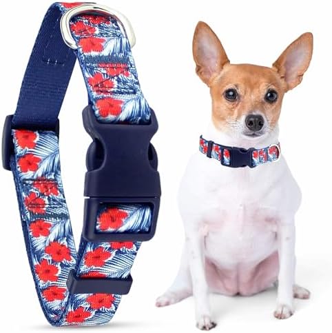 Parisian Pet Floral Dog Collar - Adjustable Hibiscus Pet Collar with Secure Buckle and Metal D-Ring - Comfortable Designer Blue Puppy Collars - Durable Tropical Nylon Dog Collars for Small Dogs