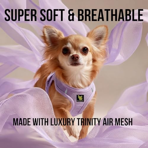 EcoBark Step in Dog Harness, Reflective Soft Padded Mesh Vest, Small Dogs