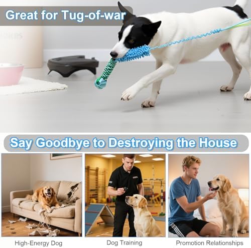 Dog Tug Toy - Interactive Dog Rope Toys, Stretchy Bungee Handle, Strong Squeak Rope Toy for Large Dogs, Puppies, Middle Dogs (Blue)